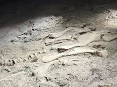 -世界恐龙谷景区