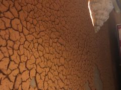 -大碗厨 25年老字号 现炒湘菜(四季天地店)