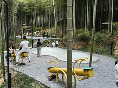 -东明山森林公园