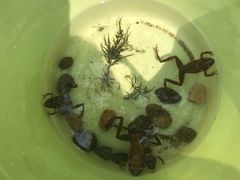 -碓臼峪自然风景区