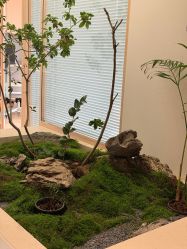 -极昼美黑24H日晒沙龙