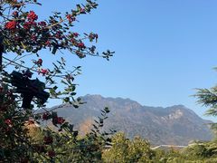 -庐山天沐温泉度假村