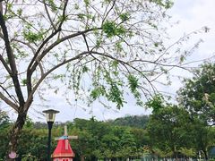 -东莞植物园