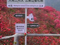 -木兰云雾山
