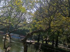 -晓港公园