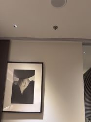 -in BEAUTY法国原液之谜