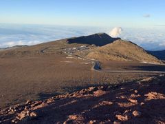 -阿甘虾餐厅(Maui)