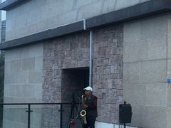 -张坝桂圆林公园