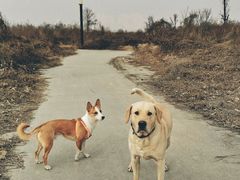 -汉长安城未央宫国家考古遗址公园