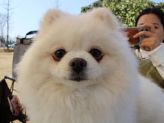 -钟山体育运动公园