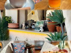 -Sirena海妖日咖夜酒