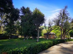 -延安杨家岭革命旧址