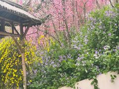 -悦见花开·花园里的火锅·露营·下午茶