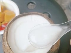 -椰爺爺·椰子冻砵仔糕