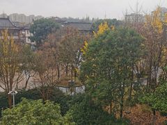 -上海东林寺(金山区)