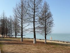 -苏州东太湖生态园