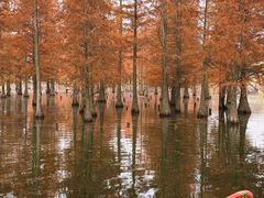 -白鹭湾湿地公园