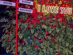 -重庆欢乐海底世界