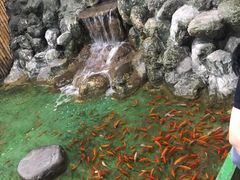 -上海大自然野生昆虫馆(东方明珠·爬宠昆虫探索中心)