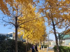 -金陵图书馆
