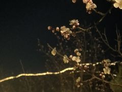 -云端咖啡(古北水镇景区店)