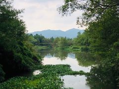 -西溪国家湿地公园