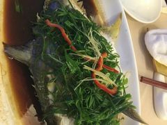 -金鮀岛潮州酒家