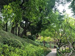 -嘉定紫藤园