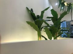 -猫域·湾主题猫咖·宠物吧(南坪城市广场店)