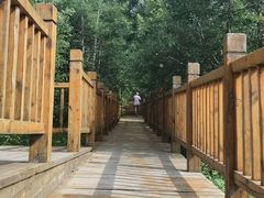 -白草畔自然风景区