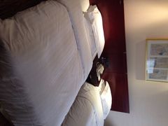 保利大厦酒店-北京保利大厦酒店(东四十条地铁站店)