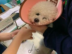 -天津前进宠物医院(前进道店)