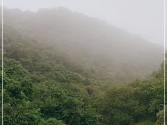 -秦岭风景区