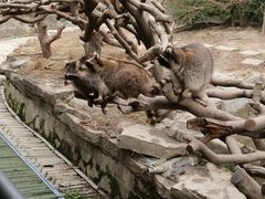 -宁波野生动物园