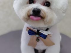 -乐琪宠物(青塔西路店)