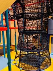 -塔塔王国·主题儿童游乐园(奥城商业广场店)