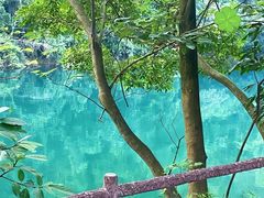 -鼎湖山风景区