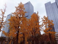 -重庆市江北嘴中央商务区中央公园