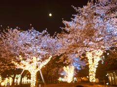 -天王寺公园