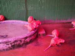 -杭州野生动物世界