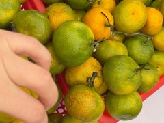 -橘洲1925湖湘餐厅