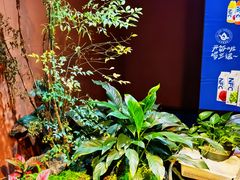 -隐炉和牛烧肉店(群力店)