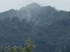 -九寨沟石锅鱼(沣峪口二十年店)