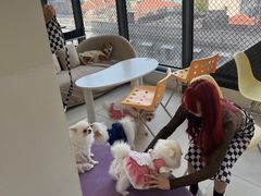 -怪兽屋·羊驼·猫咖·狗咖(俊华广场店)