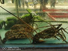 -景好海鲜餐厅(大鹏必选旅游店)