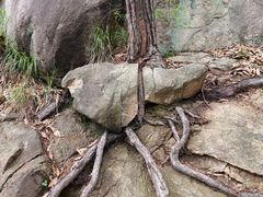 -沂蒙山旅游区云蒙景区(蒙山国家森林公园)