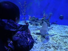 -太平洋海底世界