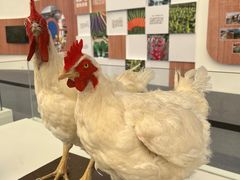 -中国天府农业博览园