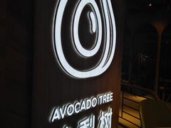 -油梨树AVOCADO TREE(嘉里中心店)
