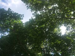 -本溪老边沟风景区